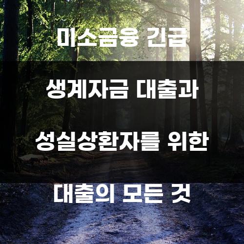 미소금융 긴급 생계자금 대출과 성실상환자를 위한 대출의 모든 것