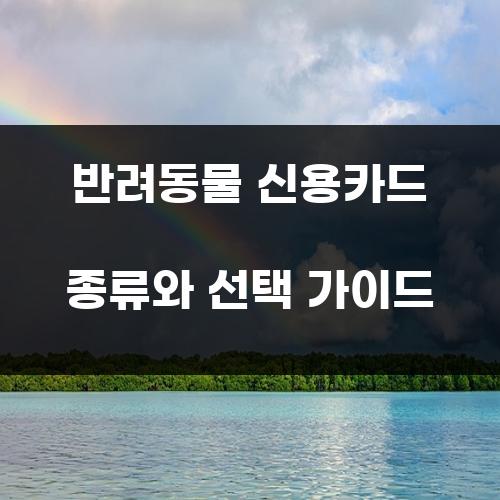 반려동물 신용카드 종류와 선택 가이드