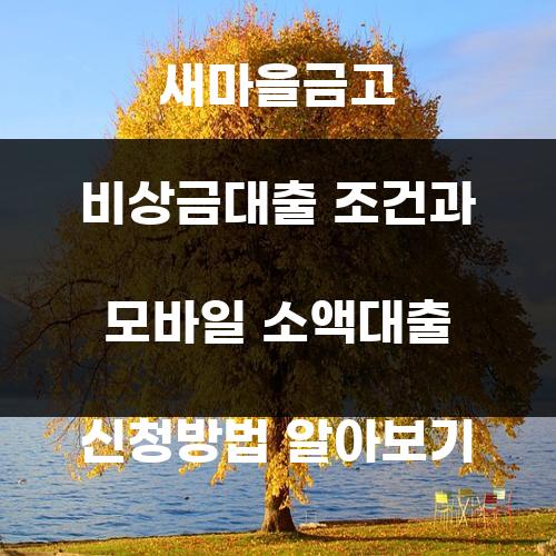 새마을금고 비상금대출 조건과 모바일 소액대출 신청방법 알아보기
