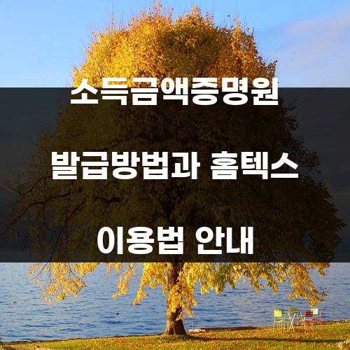 소득금액증명원 발급방법과 홈텍스 이용법 안내