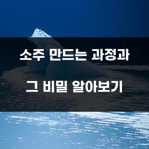 소주 만드는 과정과 그 비밀 알아보기