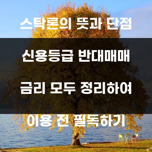 스탁론의 뜻과 단점 신용등급 반대매매 금리 모두 정리하여 이용 전 필독하기