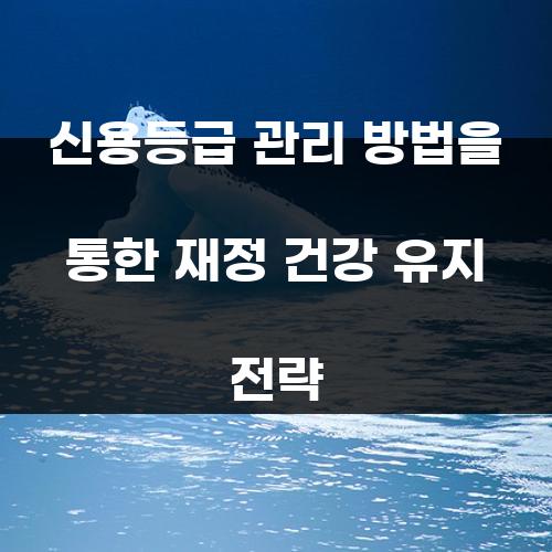 신용등급 관리 방법을 통한 재정 건강 유지 전략