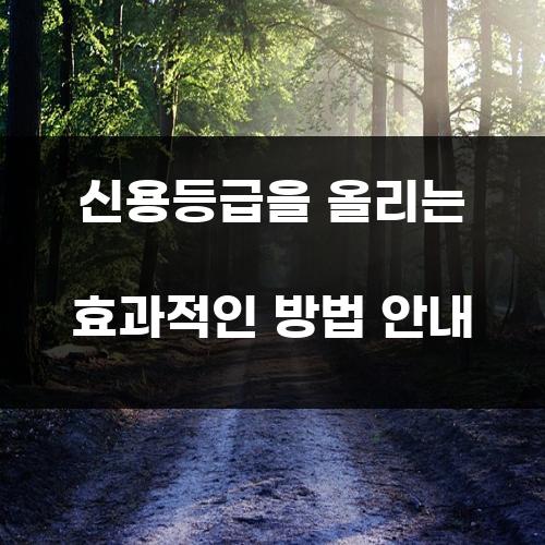 신용등급을 올리는 효과적인 방법 안내