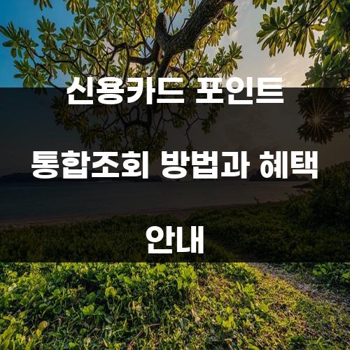 신용카드 포인트 통합조회 방법과 혜택 안내