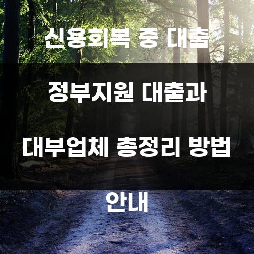 신용회복 중 대출 정부지원 대출과 대부업체 총정리 방법 안내