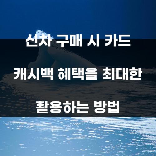 신차 구매 시 카드 캐시백 혜택을 최대한 활용하는 방법