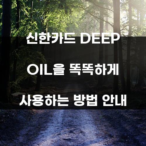 신한카드 DEEP OIL을 똑똑하게 사용하는 방법 안내