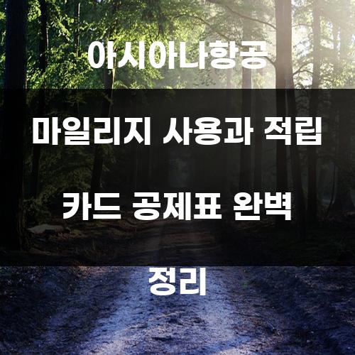 아시아나항공 마일리지 사용과 적립 카드 공제표 완벽 정리