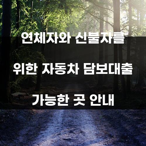 연체자와 신불자를 위한 자동차 담보대출 가능한 곳 안내