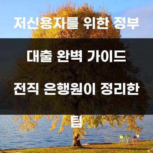 저신용자를 위한 정부 대출 완벽 가이드 전직 은행원이 정리한 팁