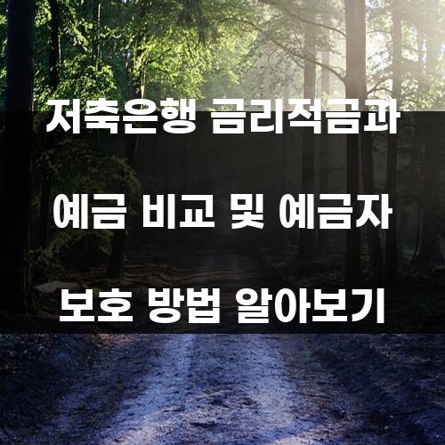 저축은행 금리적금과 예금 비교 및 예금자 보호 방법 알아보기