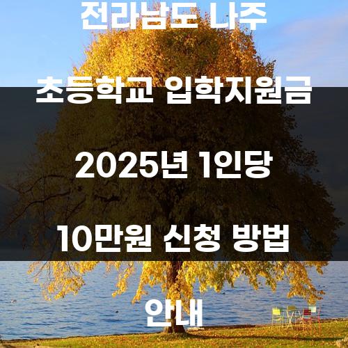 전라남도 나주 초등학교 입학지원금 2025년 1인당 10만원 신청 방법 안내