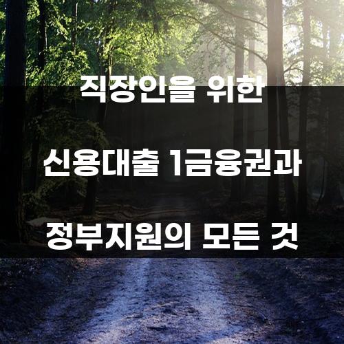 직장인을 위한 신용대출 1금융권과 정부지원의 모든 것