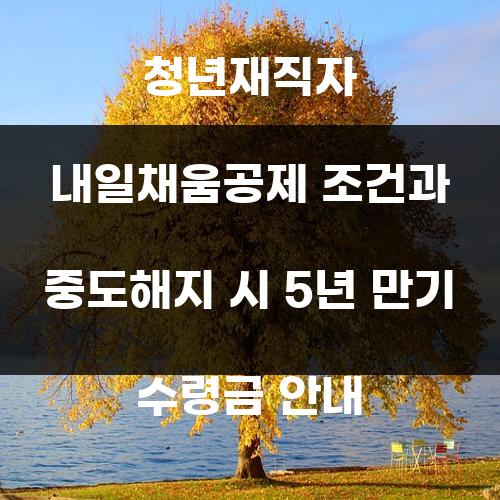 청년재직자 내일채움공제 조건과 중도해지 시 5년 만기 수령금 안내