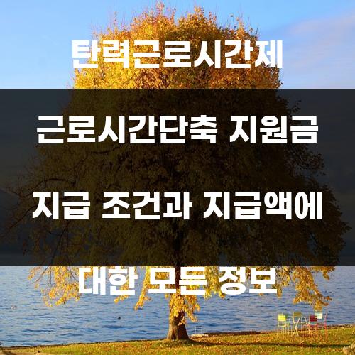 탄력근로시간제 근로시간단축 지원금 지급 조건과 지급액에 대한 모든 정보