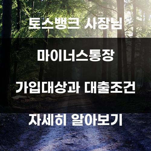 토스뱅크 사장님 마이너스통장 가입대상과 대출조건 자세히 알아보기