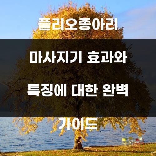 풀리오종아리 마사지기 효과와 특징에 대한 완벽 가이드