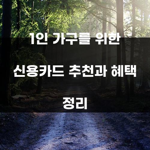 1인 가구를 위한 신용카드 추천과 혜택 정리