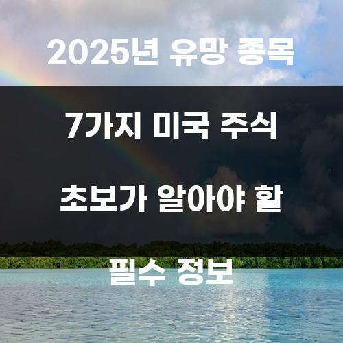 2025년 유망 종목 7가지 미국 주식 초보가 알아야 할 필수 정보