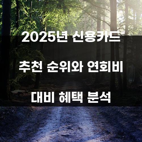 2025년 신용카드 추천 순위와 연회비 대비 혜택 분석