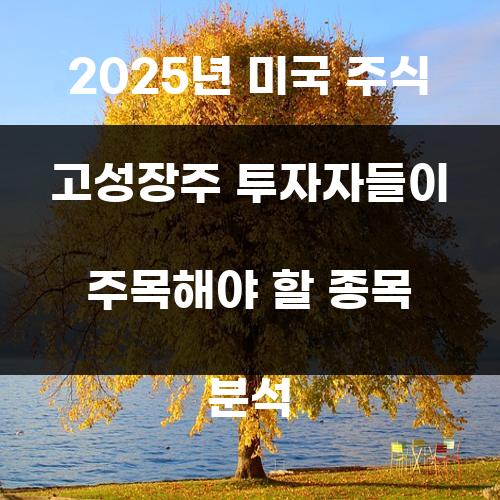 2025년 미국 주식 고성장주 투자자들이 주목해야 할 종목 분석