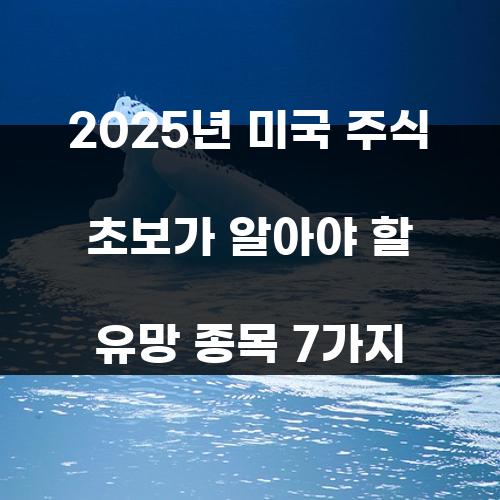 2025년 미국 주식 초보가 알아야 할 유망 종목 7가지
