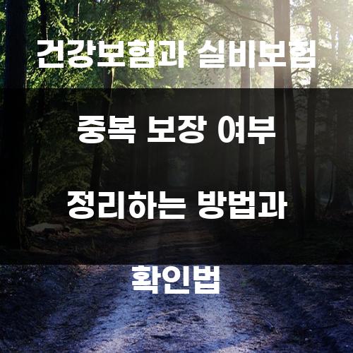 건강보험과 실비보험 중복 보장 여부 정리하는 방법과 확인법