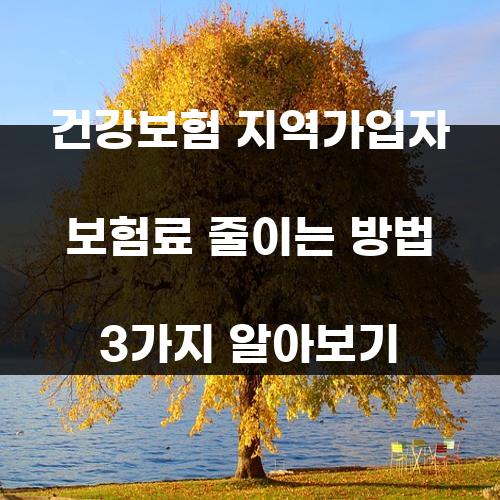 건강보험 지역가입자 보험료 줄이는 방법 3가지 알아보기