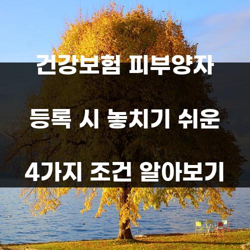 건강보험 피부양자 등록 시 놓치기 쉬운 4가지 조건 알아보기