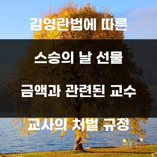 김영란법에 따른 스승의 날 선물 금액과 관련된 교수 교사의 처벌 규정