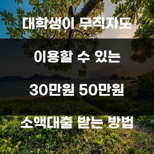대학생이 무직자도 이용할 수 있는 30만원 50만원 소액대출 받는 방법