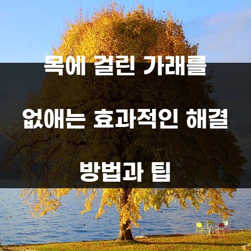 목에 걸린 가래를 없애는 효과적인 해결 방법과 팁