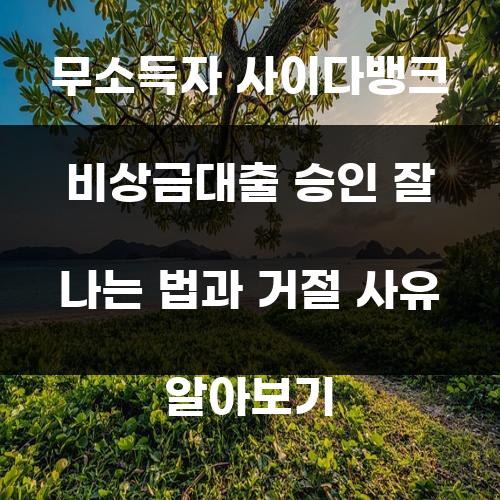 무소득자 사이다뱅크 비상금대출 승인 잘 나는 법과 거절 사유 알아보기