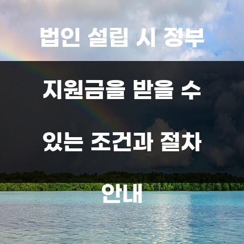 법인 설립 시 정부 지원금을 받을 수 있는 조건과 절차 안내