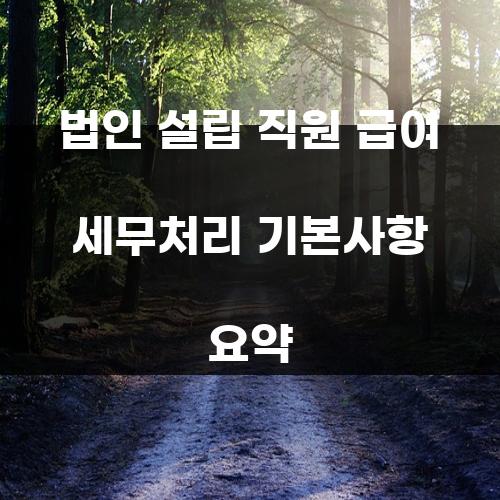 법인 설립 직원 급여 세무처리 기본사항 요약