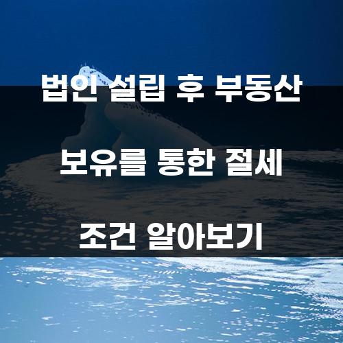 법인 설립 후 부동산 보유를 통한 절세 조건 알아보기