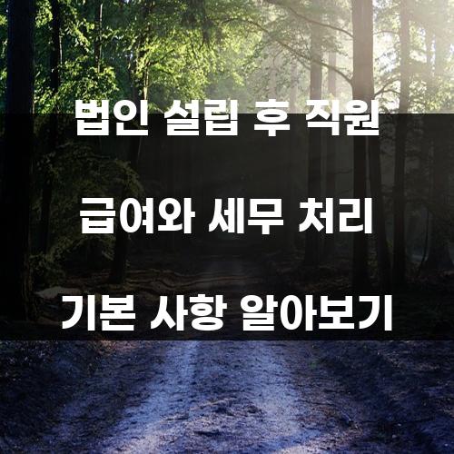 법인 설립 후 직원 급여와 세무 처리 기본 사항 알아보기