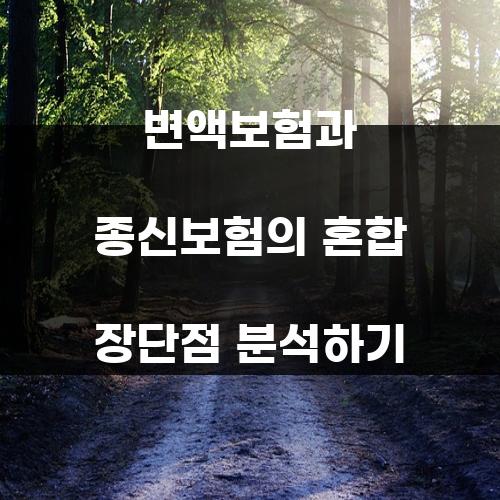 변액보험과 종신보험의 혼합 장단점 분석하기