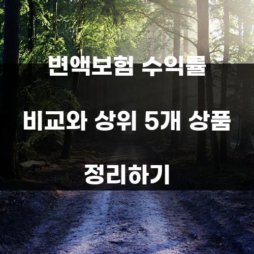 변액보험 수익률 비교와 상위 5개 상품 정리하기