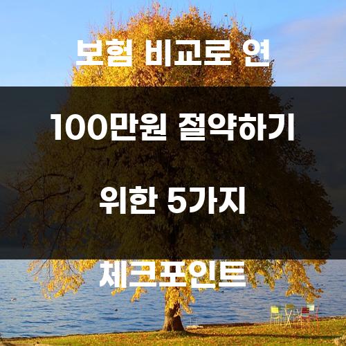 보험 비교로 연 100만원 절약하기 위한 5가지 체크포인트