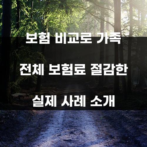 보험 비교로 가족 전체 보험료 절감한 실제 사례 소개