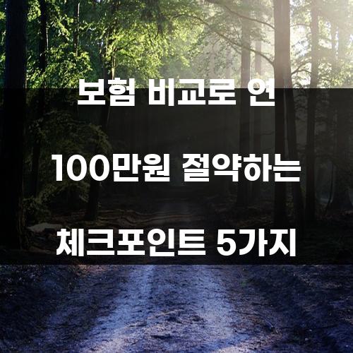 보험 비교로 연 100만원 절약하는 체크포인트 5가지