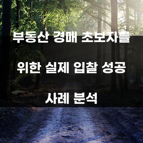부동산 경매 초보자를 위한 실제 입찰 성공 사례 분석
