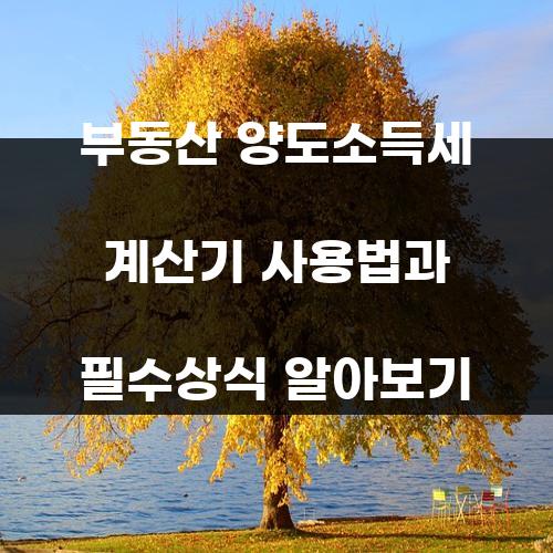 부동산 양도소득세 계산기 사용법과 필수상식 알아보기