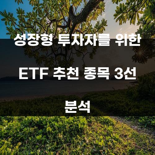 성장형 투자자를 위한 ETF 추천 종목 3선 분석