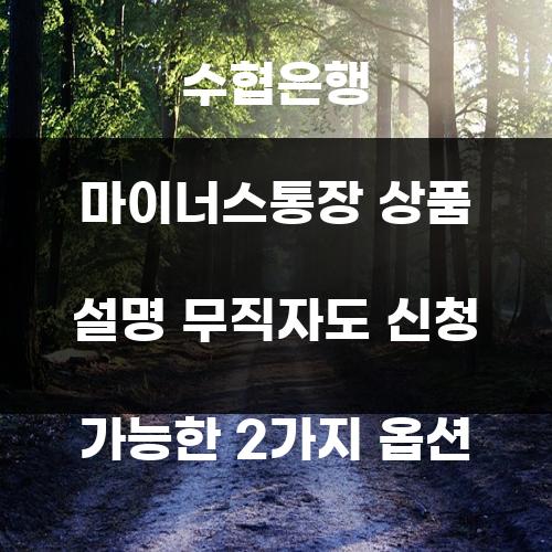수협은행 마이너스통장 상품 설명 무직자도 신청 가능한 2가지 옵션