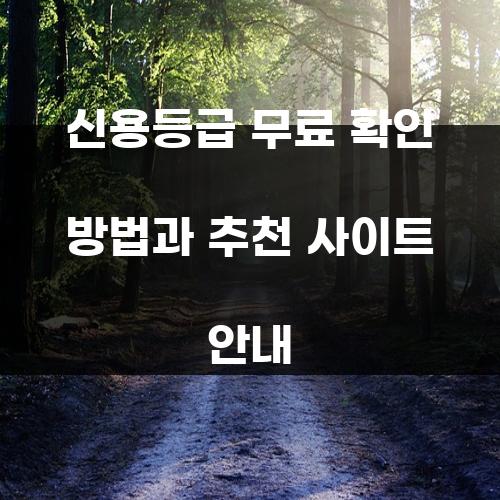 신용등급 무료 확인 방법과 추천 사이트 안내