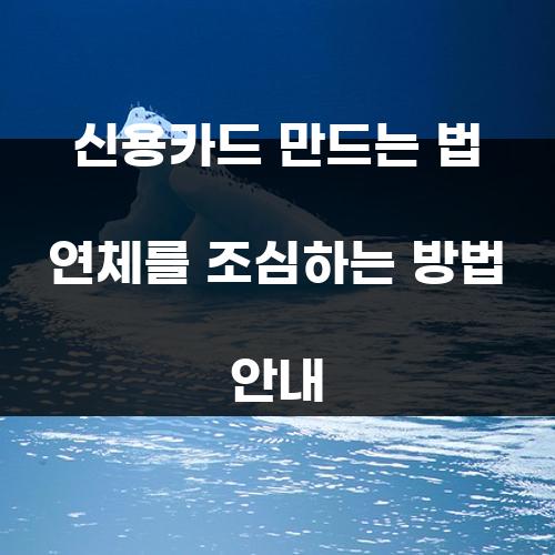 신용카드 만드는 법 연체를 조심하는 방법 안내