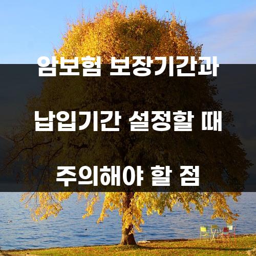 암보험 보장기간과 납입기간 설정할 때 주의해야 할 점